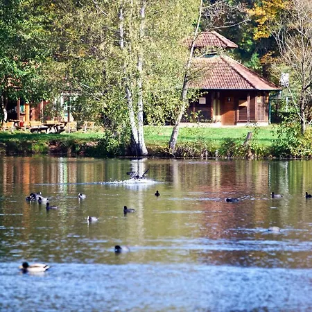 Wald Und Felsen - Apartment Ludwigswinkel Buitenkant foto