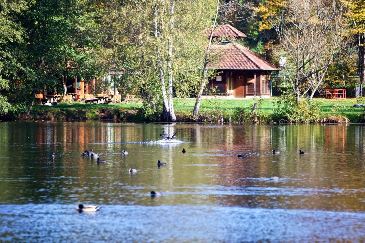 Wald Und Felsen - Ludwigswinkel